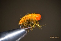 Easy Bug (orange)